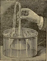 Picture 509 of 700 from The young folk's cyclopædia of games and sports ; (1899), leaf 568