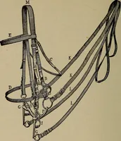 Picture 525 of 700 from The young folk's cyclopædia of games and sports ; (1899), leaf 583
