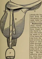 Picture 526 of 700 from The young folk's cyclopædia of games and sports ; (1899), leaf 584