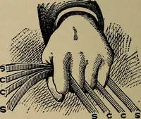 Picture 530 of 700 from The young folk's cyclopædia of games and sports ; (1899), leaf 587