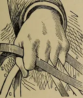 Picture 531 of 700 from The young folk's cyclopædia of games and sports ; (1899), leaf 588