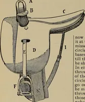 Picture 533 of 700 from The young folk's cyclopædia of games and sports ; (1899), leaf 593