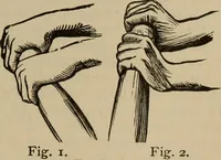 Picture 537 of 700 from The young folk's cyclopædia of games and sports ; (1899), leaf 598