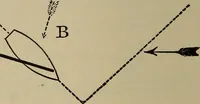 Picture 549 of 700 from The young folk's cyclopædia of games and sports ; (1899), leaf 611