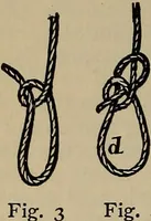 Picture 551 of 700 from The young folk's cyclopædia of games and sports ; (1899), leaf 617