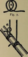 Picture 553 of 700 from The young folk's cyclopædia of games and sports ; (1899), leaf 617