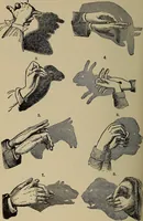 Picture 560 of 700 from The young folk's cyclopædia of games and sports ; (1899), leaf 629