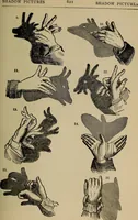 Picture 561 of 700 from The young folk's cyclopædia of games and sports ; (1899), leaf 630