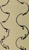 Picture 581 of 700 from The young folk's cyclopædia of games and sports ; (1899), leaf 655