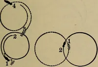 Picture 582 of 700 from The young folk's cyclopædia of games and sports ; (1899), leaf 656
