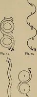 Picture 584 of 700 from The young folk's cyclopædia of games and sports ; (1899), leaf 656