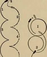 Picture 585 of 700 from The young folk's cyclopædia of games and sports ; (1899), leaf 656