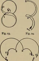 Picture 586 of 700 from The young folk's cyclopædia of games and sports ; (1899), leaf 657