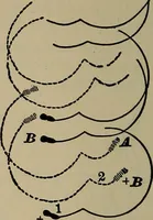 Picture 587 of 700 from The young folk's cyclopædia of games and sports ; (1899), leaf 657
