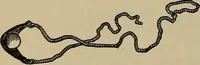 Picture 596 of 700 from The young folk's cyclopædia of games and sports ; (1899), leaf 663