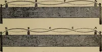 An illustration from The young folk's cyclopædia of games and sports ; (1899)