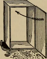 An illustration from The young folk's cyclopædia of games and sports ; (1899)
