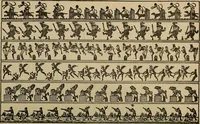 An illustration from The young folk's cyclopædia of games and sports ; (1899)