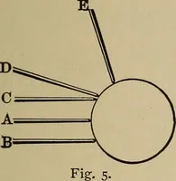 Picture 82 of 700 from The young folk's cyclopædia of games and sports ; (1899), leaf 92