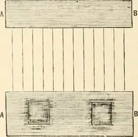 An illustration from The young mechanic; containing directions for the use of all kinds of tools, and for the construction of steam engines and mechanical models, including the art of turning in wood and metal (1902)