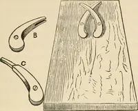 Picture 12 of 66 from The young mechanic; containing directions for the use of all kinds of tools, and for the construction of steam engines and mechanical models, including the art of turning in wood and metal (1902), leaf 52