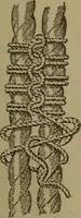 An illustration from Young sailor's assistant in practical seamanship including the rules of the road; directions for resuscitating the apparently drowned, etc., etc., together with the salutes ... naval signal flags, Very's lights, and the international code of signals (1893)