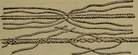 An illustration from Young sailor's assistant in practical seamanship including the rules of the road; directions for resuscitating the apparently drowned, etc., etc., together with the salutes ... naval signal flags, Very's lights, and the international code of signals (1893)