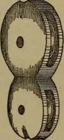 Picture 138 of 206 from Young sailor's assistant in practical seamanship including the rules of the road; directions for resuscitating the apparently drowned, etc., etc., together with the salutes ... naval signal flags, Very's lights, and the international code of signals (1893), leaf 178