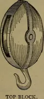 Picture 140 of 206 from Young sailor's assistant in practical seamanship including the rules of the road; directions for resuscitating the apparently drowned, etc., etc., together with the salutes ... naval signal flags, Very's lights, and the international code of signals (1893), leaf 180
