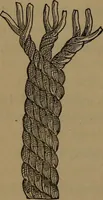 Picture 154 of 206 from Young sailor's assistant in practical seamanship including the rules of the road; directions for resuscitating the apparently drowned, etc., etc., together with the salutes ... naval signal flags, Very's lights, and the international code of signals (1893), leaf 197
