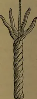 An illustration from Young sailor's assistant in practical seamanship including the rules of the road; directions for resuscitating the apparently drowned, etc., etc., together with the salutes ... naval signal flags, Very's lights, and the international code of signals (1893)