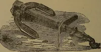 An illustration from Young sailor's assistant in practical seamanship including the rules of the road; directions for resuscitating the apparently drowned, etc., etc., together with the salutes ... naval signal flags, Very's lights, and the international code of signals (1893)