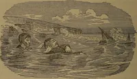 Picture 202 of 206 from Young sailor's assistant in practical seamanship including the rules of the road; directions for resuscitating the apparently drowned, etc., etc., together with the salutes ... naval signal flags, Very's lights, and the international code of signals (1893), leaf 443