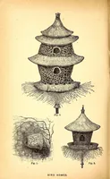 Picture 3 of 16 from Young scientist (1878), leaf 208