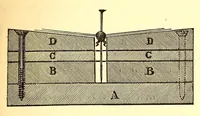 An illustration from Young scientist (1878)