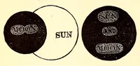 Picture 15 of 16 from Young scientist (1878), leaf 922