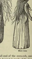 Picture 3 of 6 from How to amuse yourself and others; the American girl's handy book (1905), leaf 196