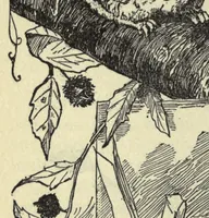Picture 4 of 6 from How to amuse yourself and others; the American girl's handy book (1905), leaf 238