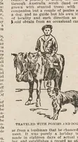 Picture 1 of 2 from The Youth's realm (1906), leaf 5