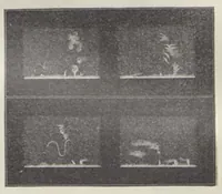 An illustration from Z říše hvězd (1896)