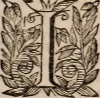 Picture 22 of 25 from Zacuti Lusitani Opera omnia (1667), leaf 672