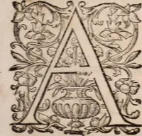 Picture 16 of 25 from Zacuti Lusitani Opera omnia (1667), leaf 76