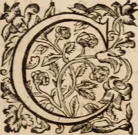 Picture 4 of 25 from Zacuti Lusitani Opera omnia (1667), leaf 8