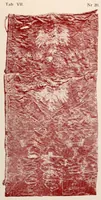 Picture 4 of 16 from Zarys artystycznego rozwoju tkactwa i haftarstwa; objaniony zabytkami Muzeum Narodowego w Krakowie (1906), leaf 243