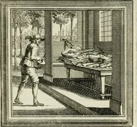 Picture 36 of 43 from Zederyke zinnebeelden der tonge (1716), leaf 298