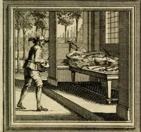 An illustration from Zederyke zinnebeelden der tonge (1716)