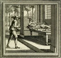 An illustration from Zederyke zinnebeelden der tonge (1764)