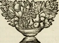An illustration from Zederyke zinnebeelden : vertoont in konstplaten, door kragtige redeneeringen en maat-digten nutte van het menschelyke leven toegepast (1713)