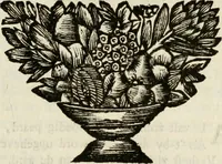 An illustration from Zederyke zinnebeelden : vertoont in konstplaten, door kragtige redeneeringen en maat-digten nutte van het menschelyke leven toegepast (1713)