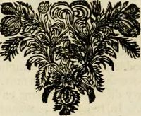 An illustration from Zederyke zinnebeelden : vertoont in konstplaten, door kragtige redeneeringen en maat-digten nutte van het menschelyke leven toegepast (1713)